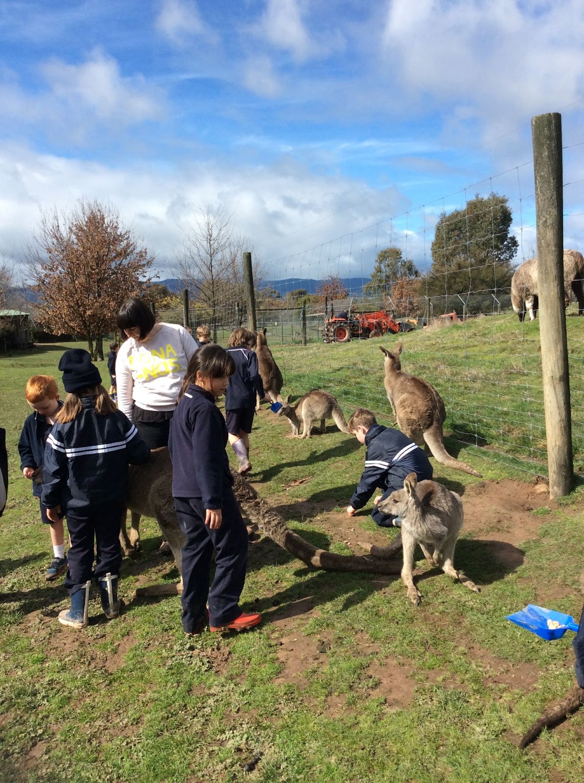 excursion Rutherglen PS Volunteering